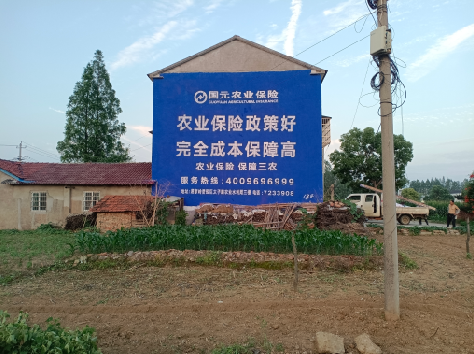 文成墙体广告为何受追捧？